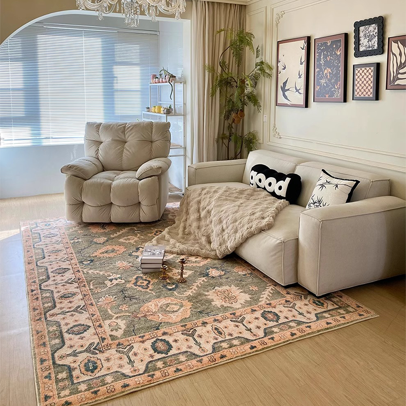 Retro Living Room Carpet Frenc - Outdoor Furniture For Cafe review and price