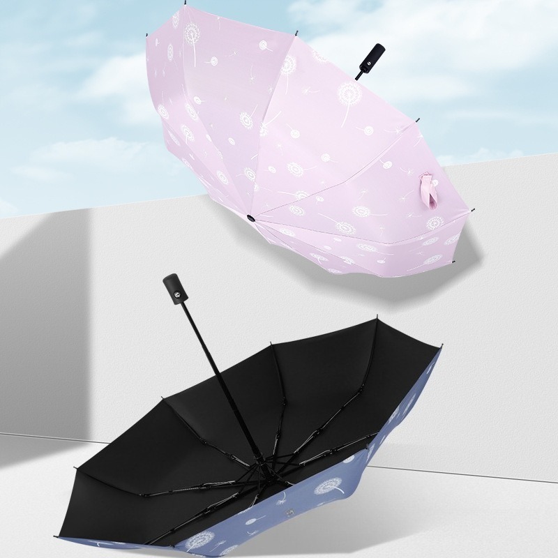 Dandelion 8/10 Ribs Large Umbr - Parasol Umbrella Large review and price