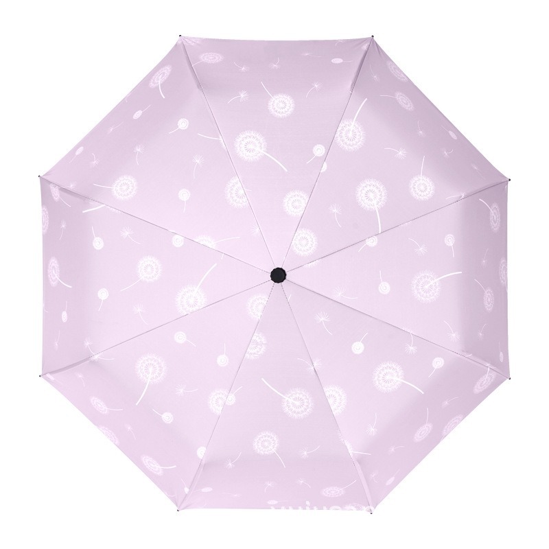 Dandelion 8/10 Ribs Large Umbr - Parasol Umbrella Large review and price